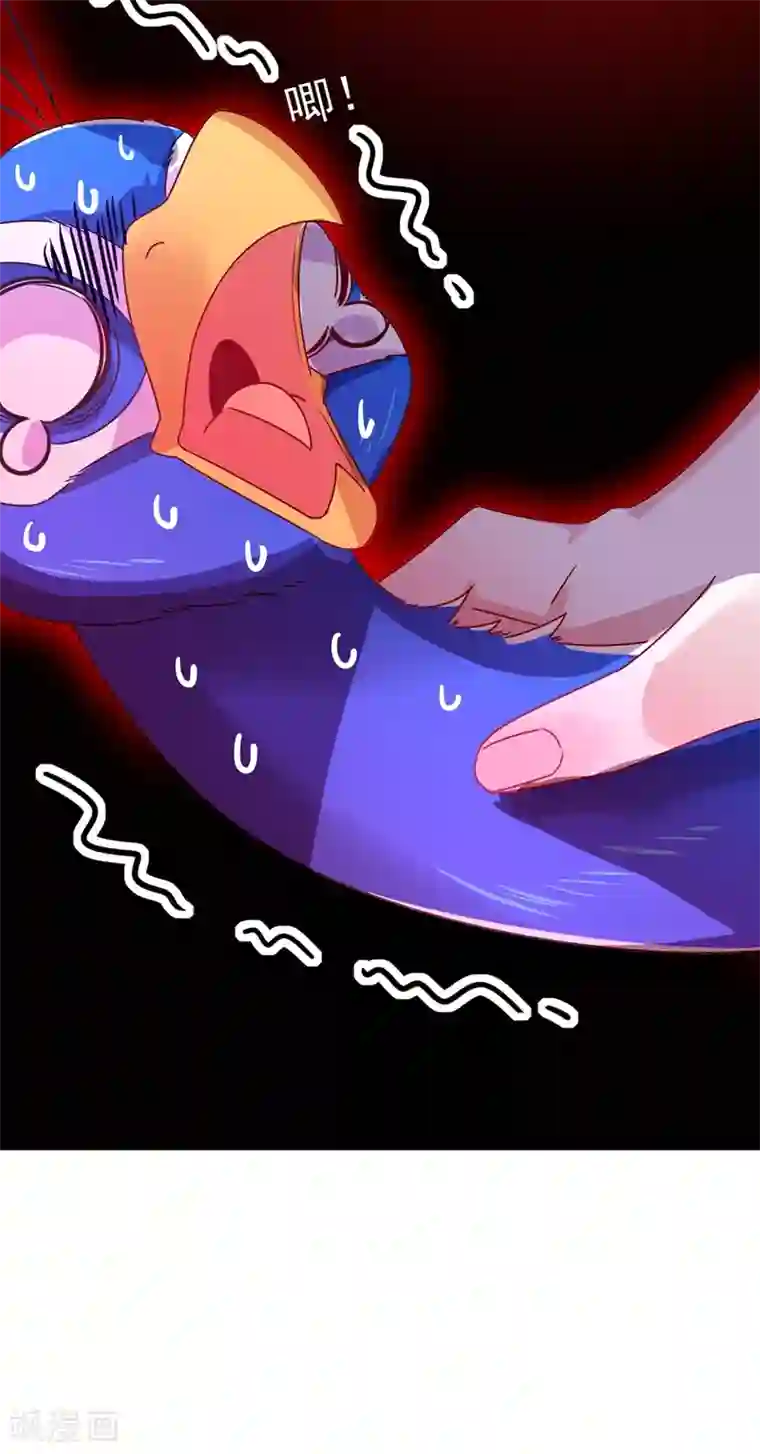 萌妃来袭：天降熊猫求抱抱第42话 到底谁让你来的？