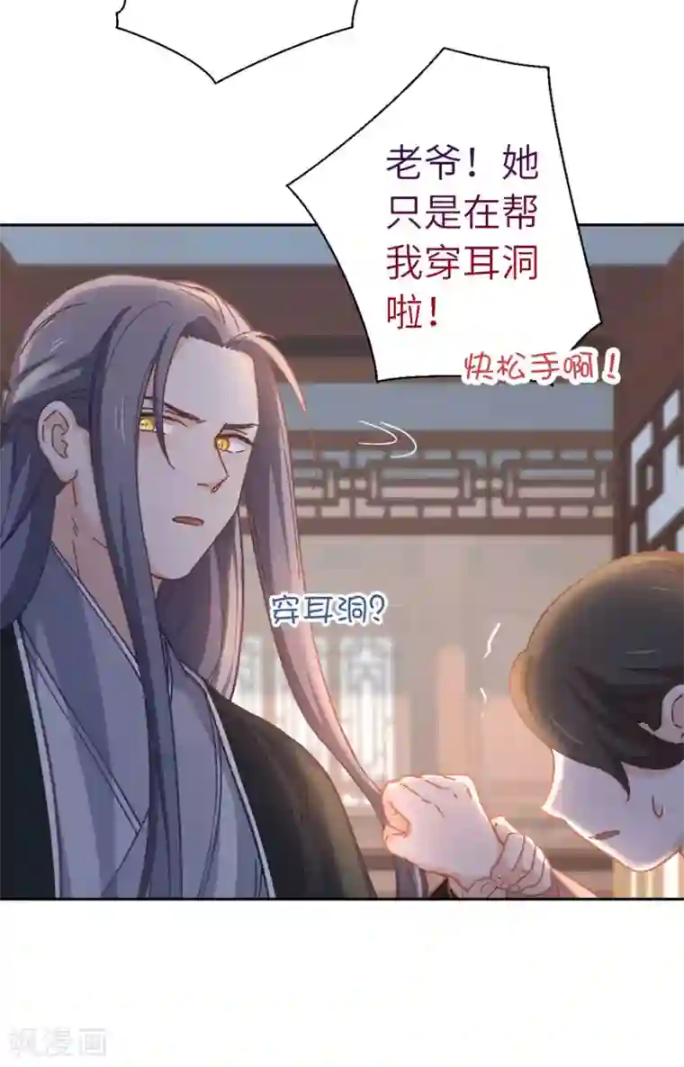 厨厨动人第91话 显摆