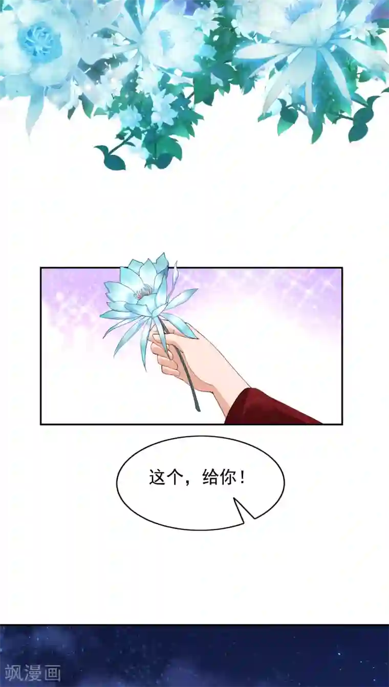 赵沐萱传第65话 昙花