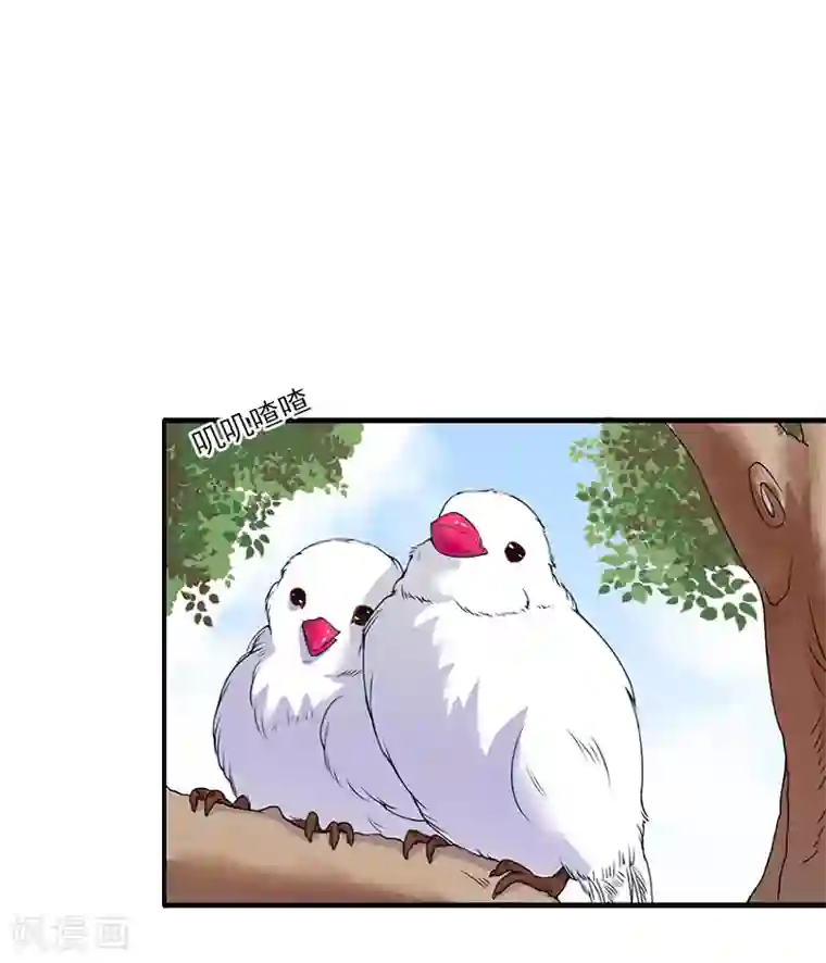 一婚难求：老婆求正名第38话 手术