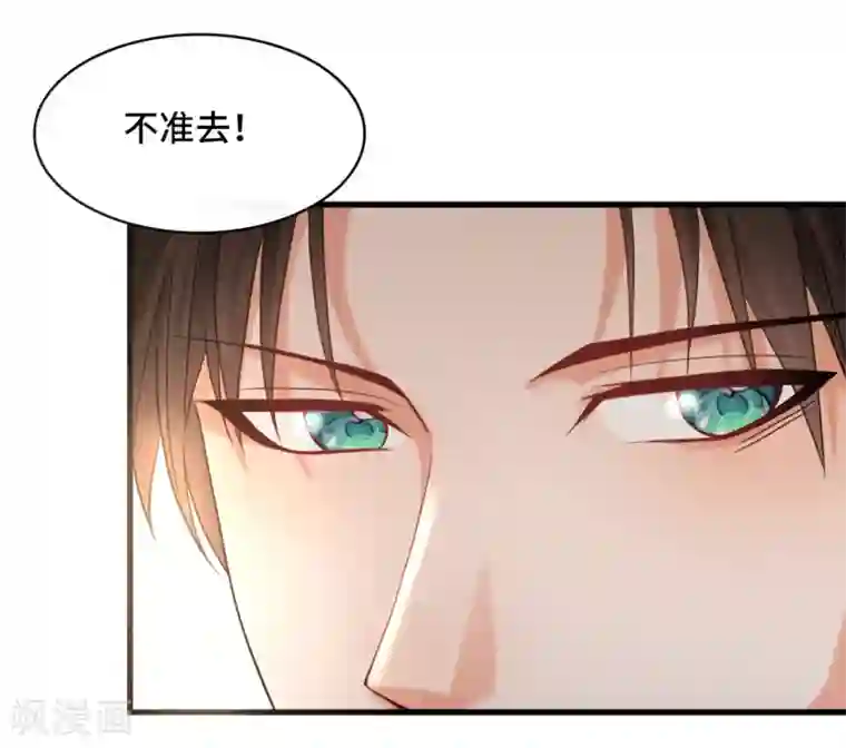 总裁爹地追上门第23话 我不允许你有任何意外！