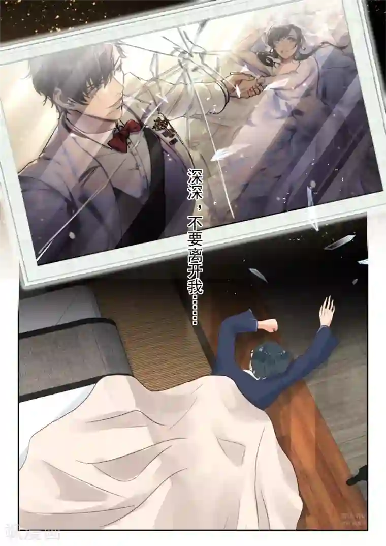 邪魅老公第254话 别了厉君沉