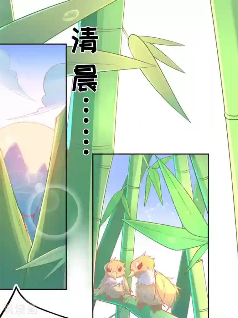 本王妃神藤在手第13话 天赋难寻