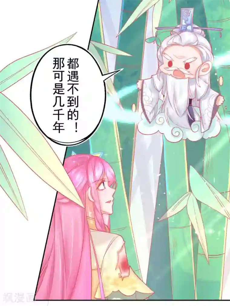 本王妃神藤在手第14话 勉强拜师