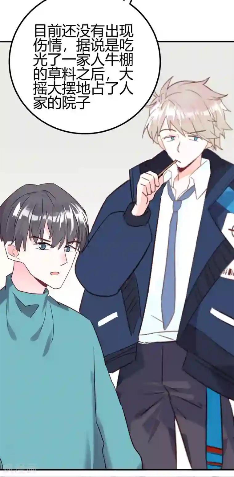 你栖息在我心上第18话 烧糊涂了吗？