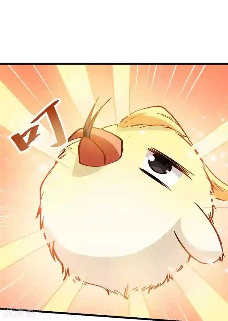 校园狂师第88话 小鸡小鸡跑跑跑