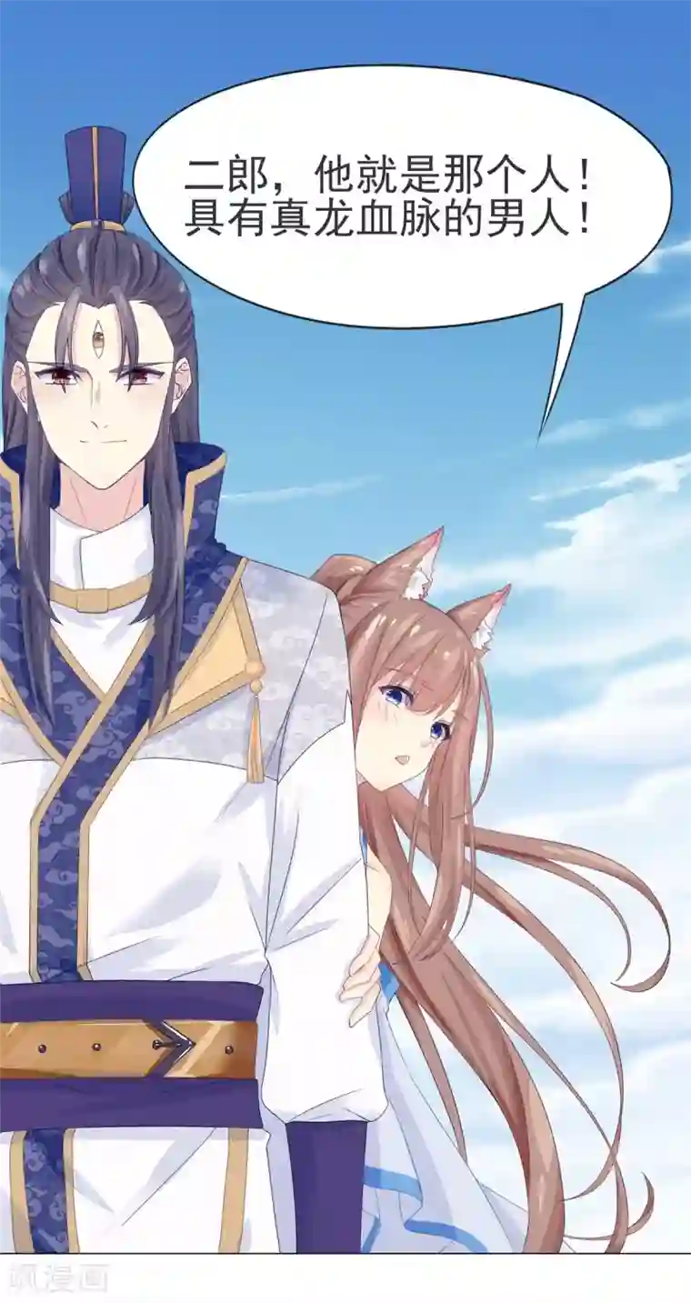 高能剧情100问第7话