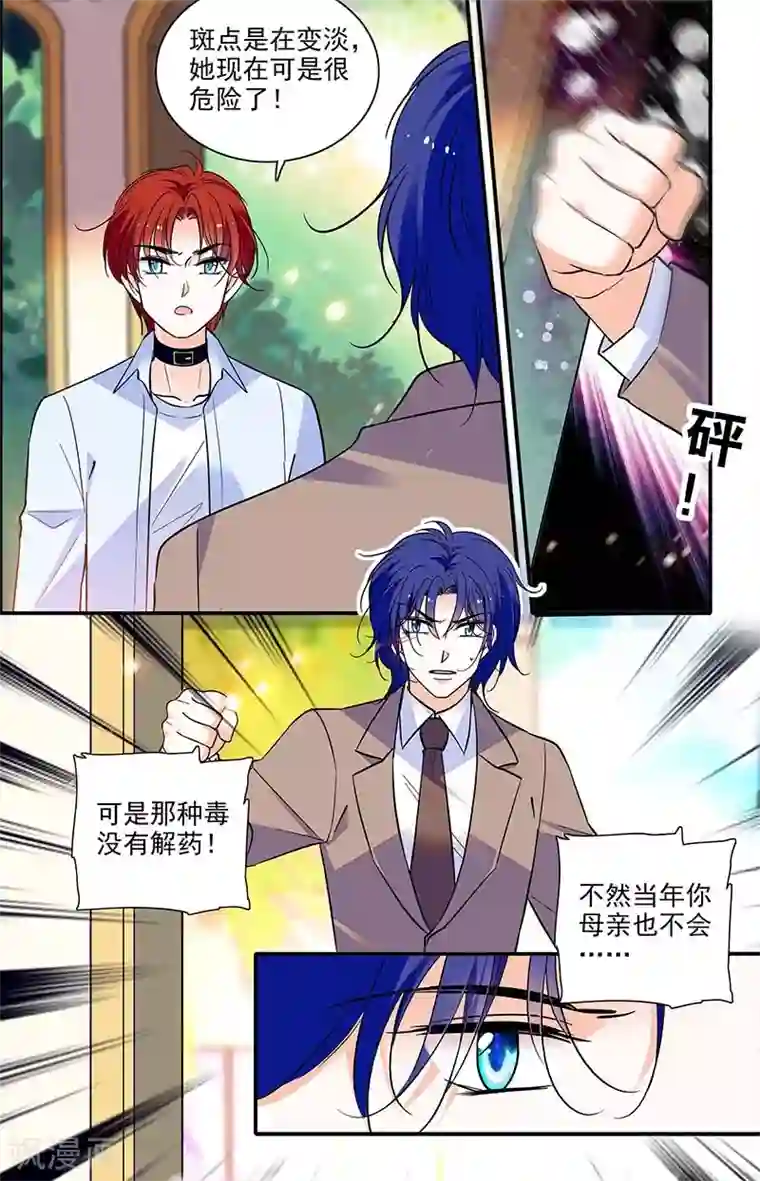 千吻之恋999第297话 宝藏的传说