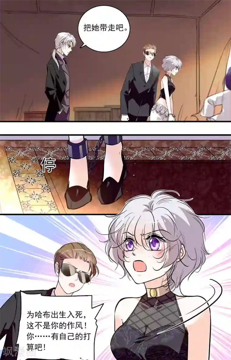 千吻之恋999第352话 万事俱备