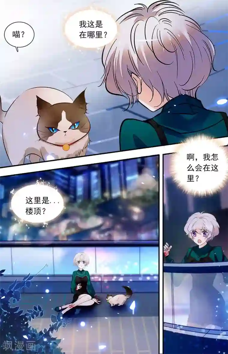 千吻之恋999第440话 这是我的人生