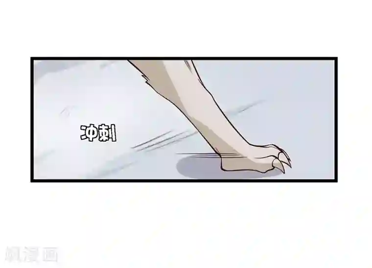 农家娘子有喜了第17话 遇险