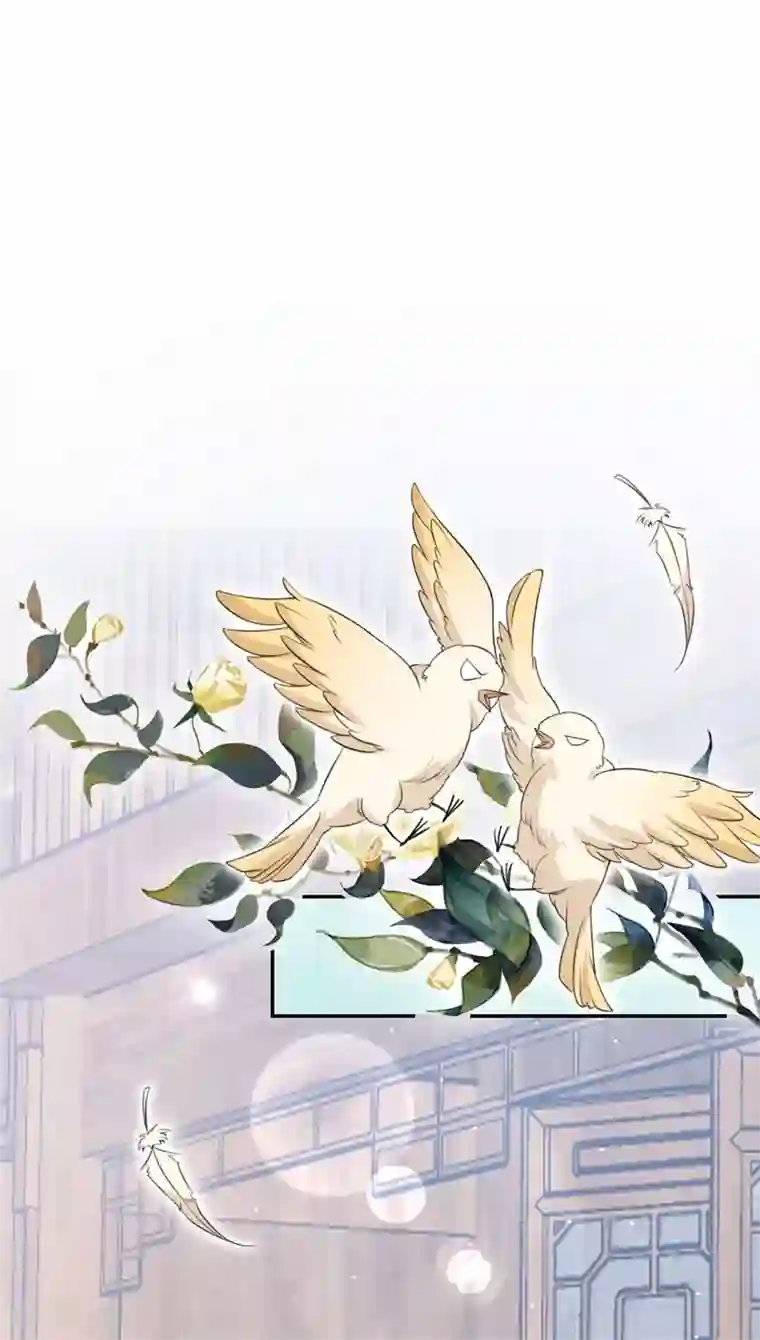 皇子夫君，我养你啊第13话 谁欺负我媳妇儿我就揍谁！