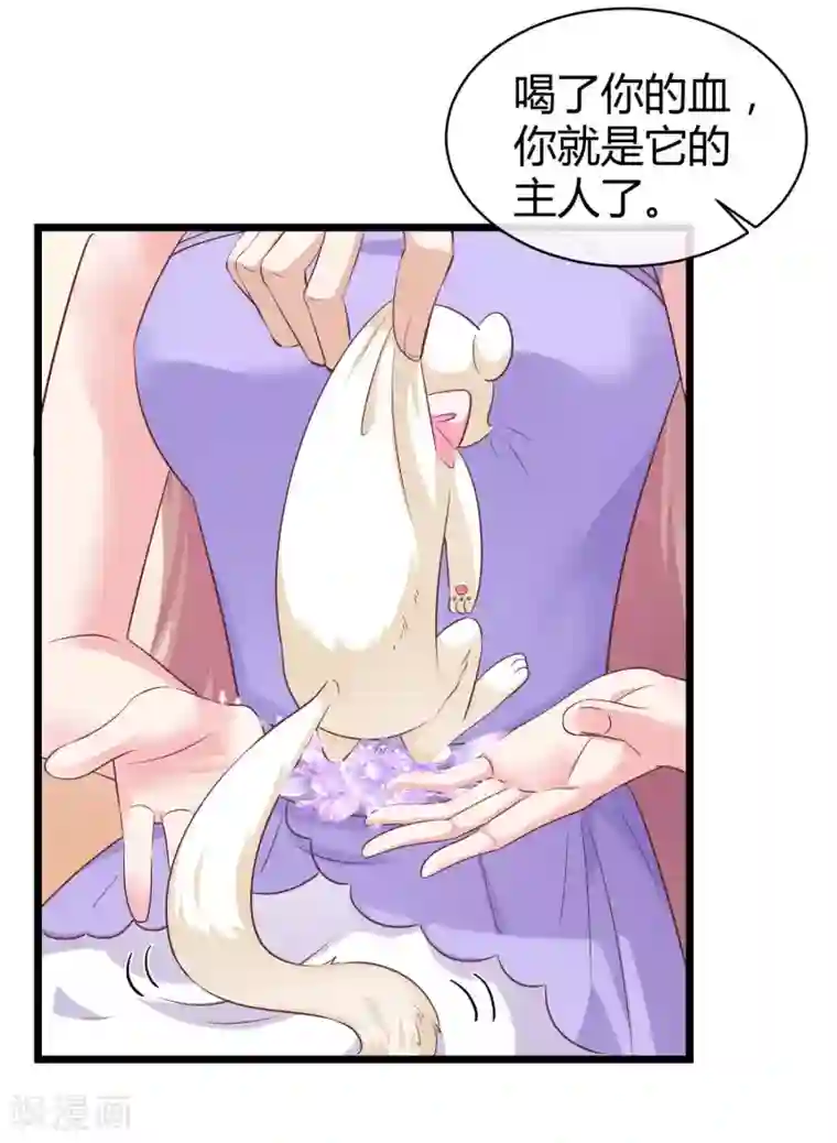 冰山总裁强宠婚第46话 她果然是特别的！