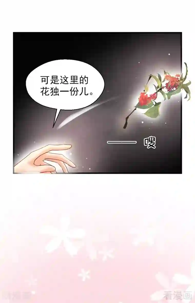 娇女毒妃第203话