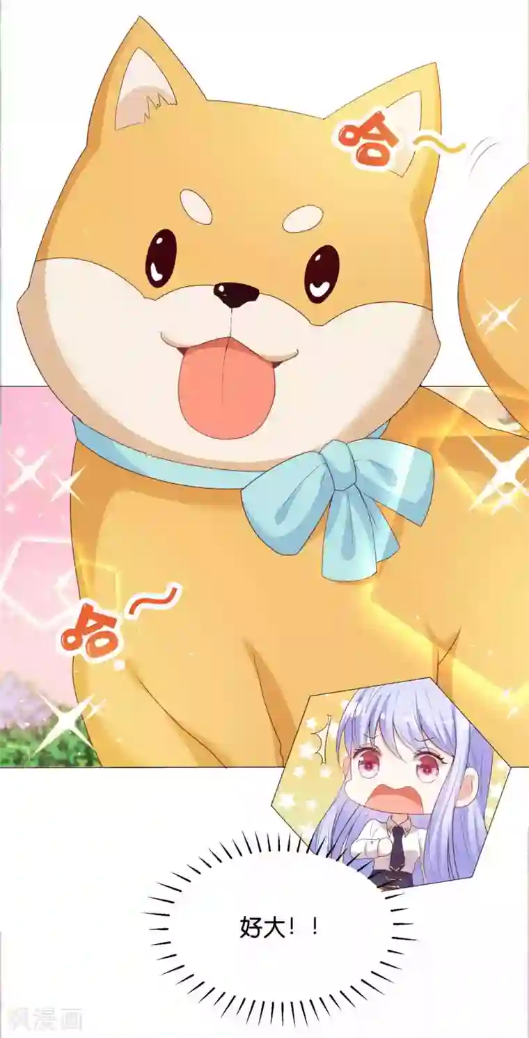 星际帝国第一宠婚第40话 哪里来的巨无霸可爱？！