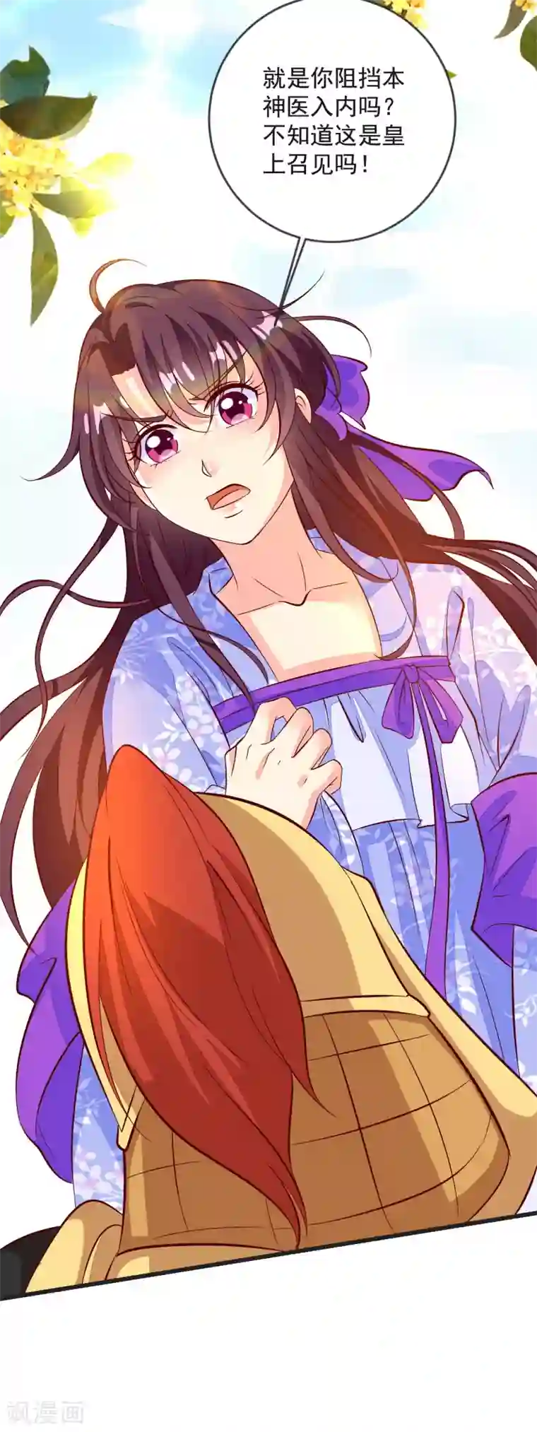 帝凰之神医弃妃第39话 皇上召见