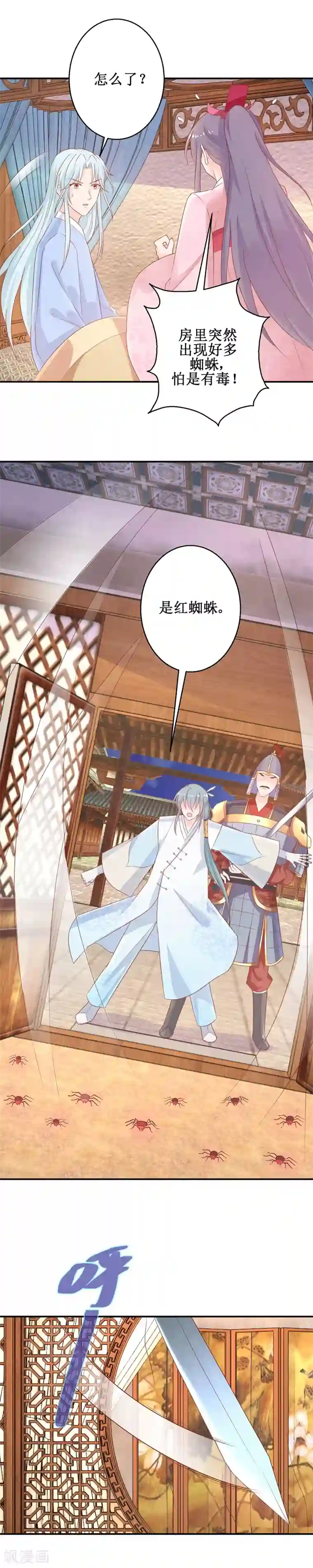 盛宠阴阳妃第58话 蜘蛛夜袭