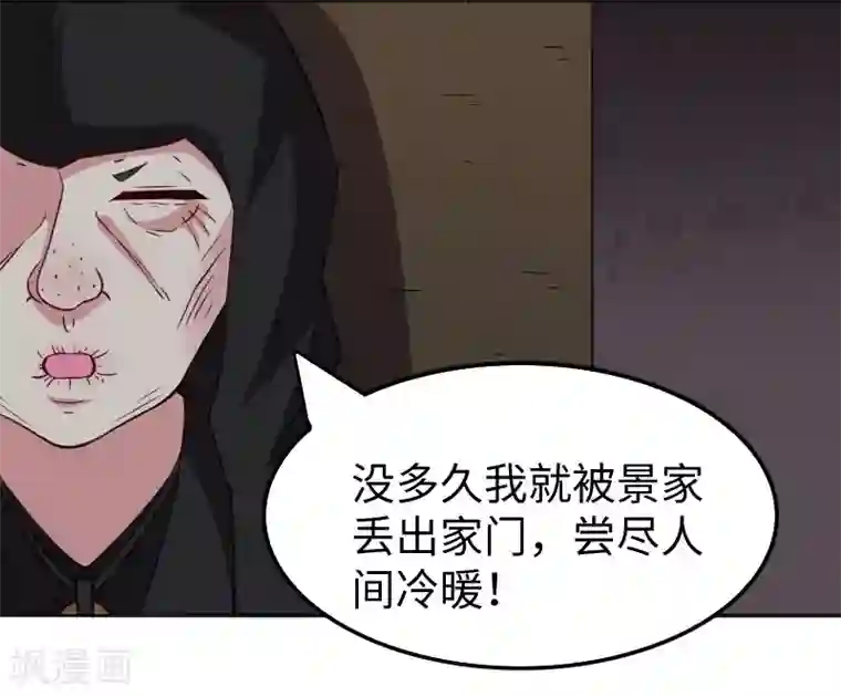 宠狐成妃第299话 小姨