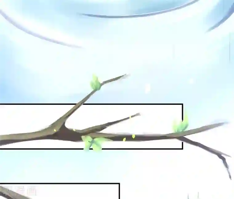 嗜血医妃第15话 物似主人形