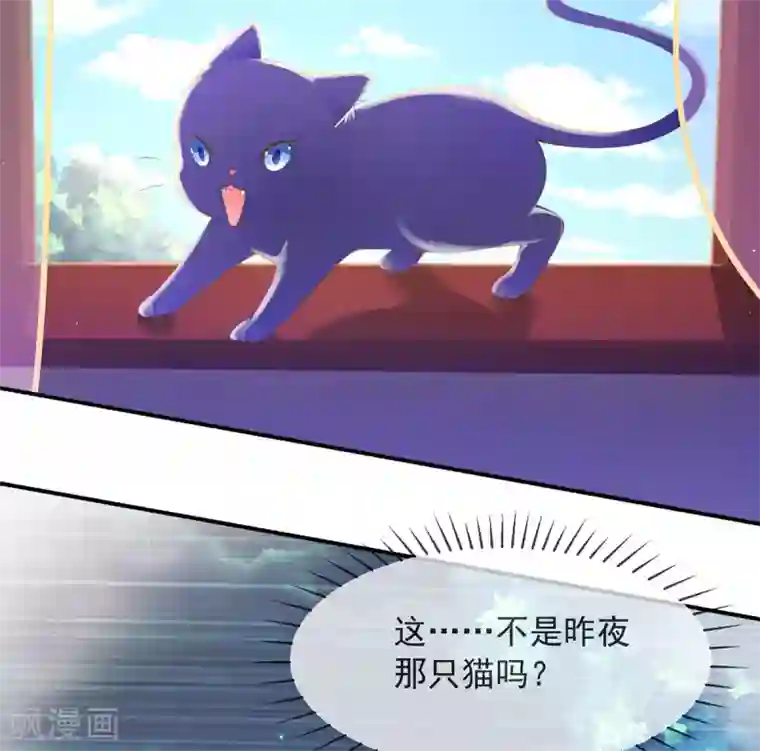 嗜血医妃第15话 物似主人形