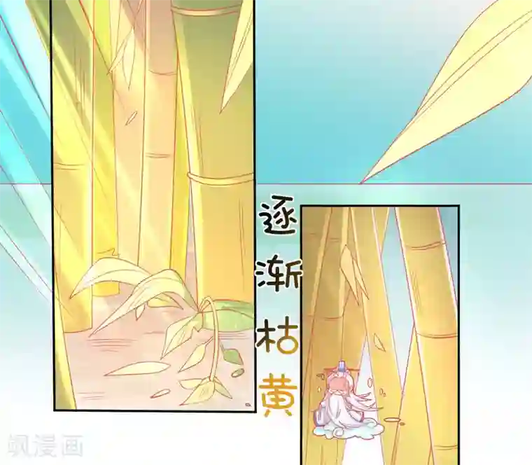 本王妃神藤在手第15话 修炼，突破