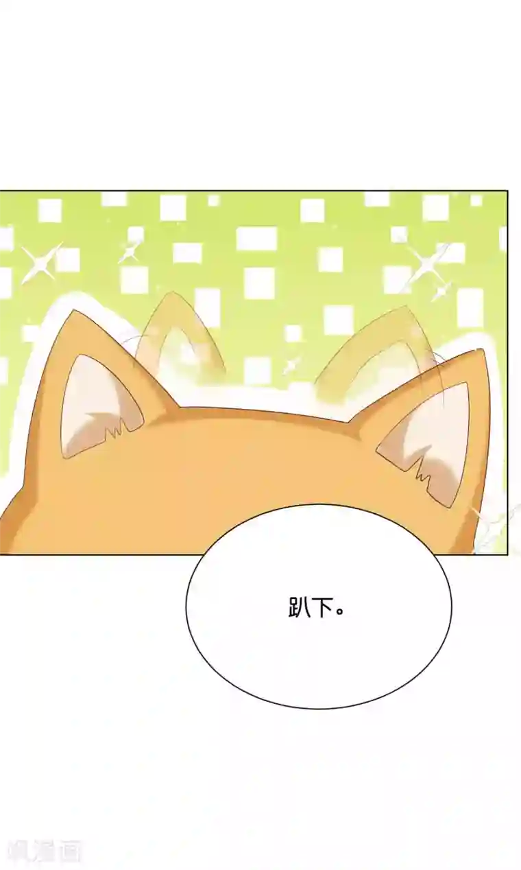 星际帝国第一宠婚第41话 他是华丽外皮的野兽？