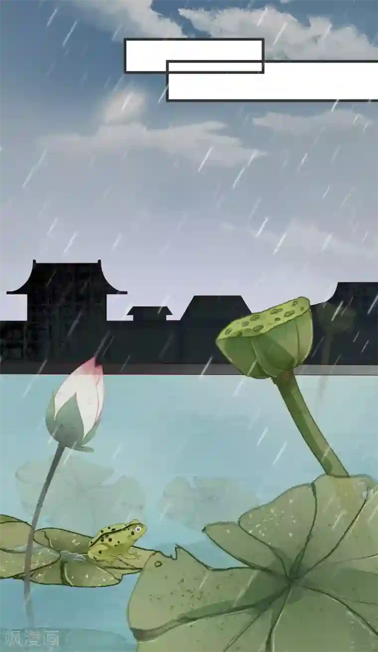 帝凰之神医弃妃第41话 手术现场