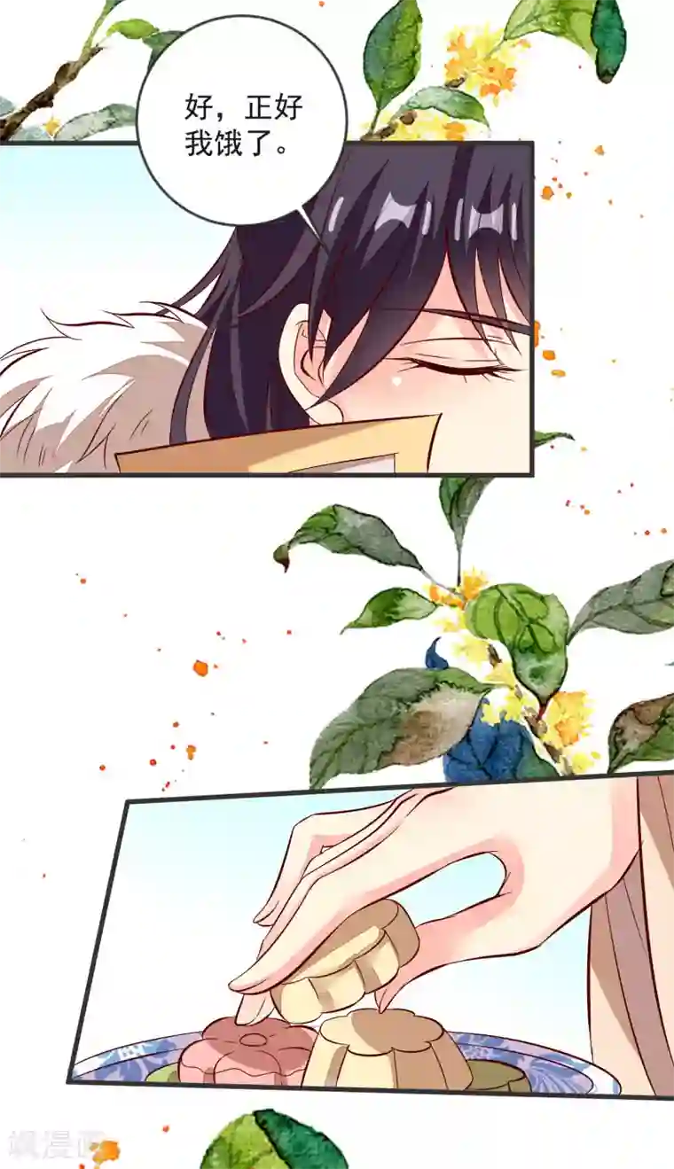 帝凰之神医弃妃第41话 手术现场