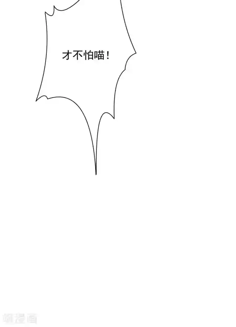 王爷是只大脑斧第67话 寻找虎兄