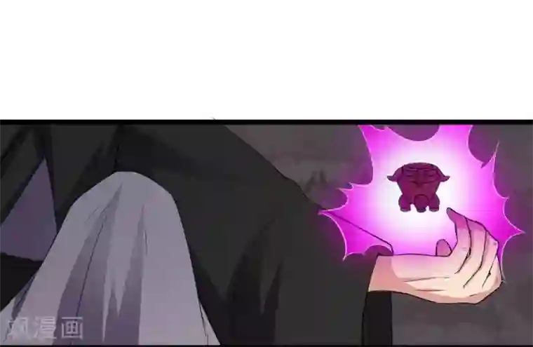 宠狐成妃第300话 至尊宝戒