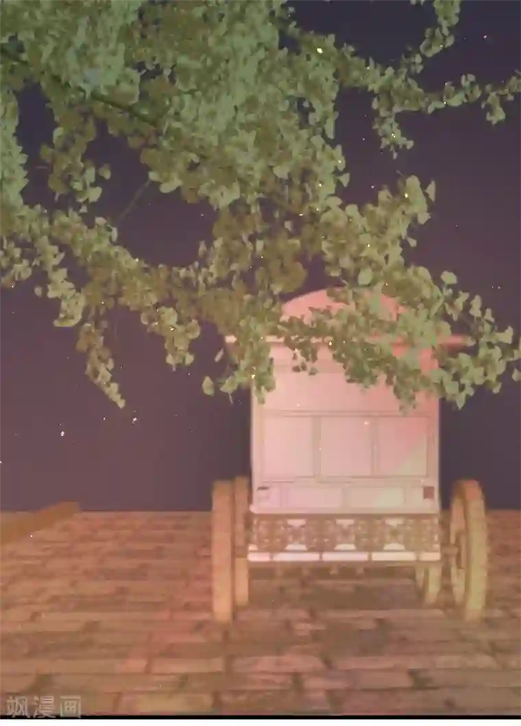 凤还朝，妖孽王爷请让道第51话 命案