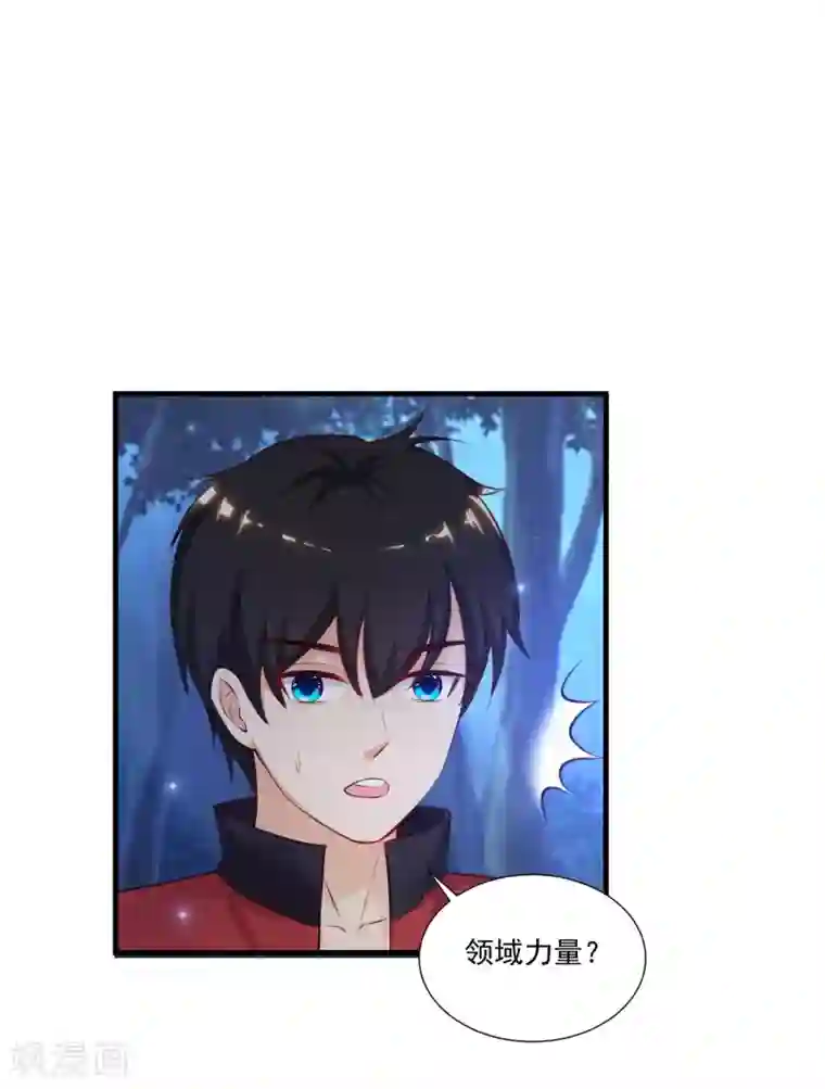 最强桃花运第84话 神秘人和领域力量？？？