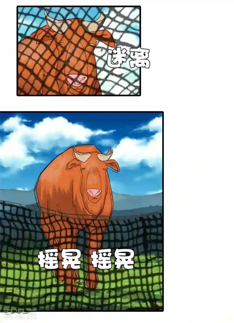 你栖息在我心上第20话 心动的感觉