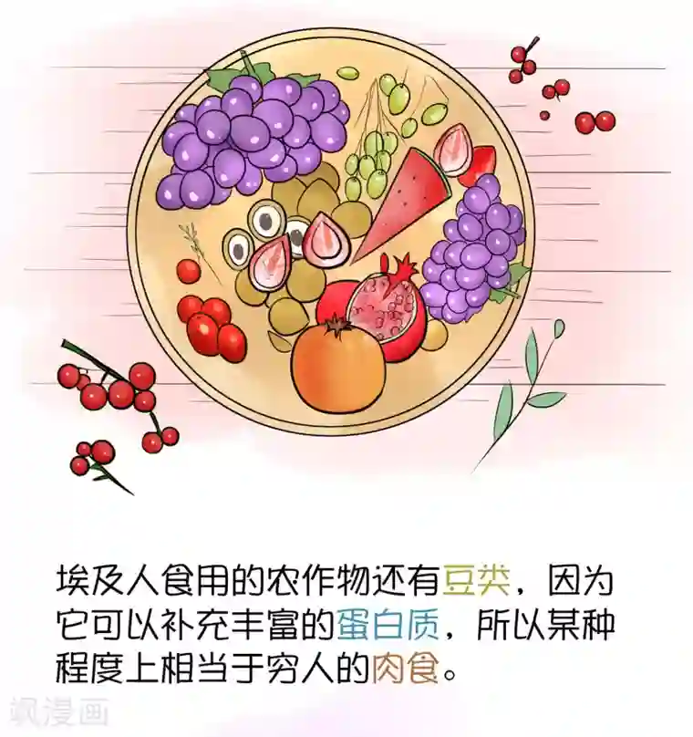 王的第一宠后王的茶话会 福利番外4：古埃及是否有“满汉全席”？