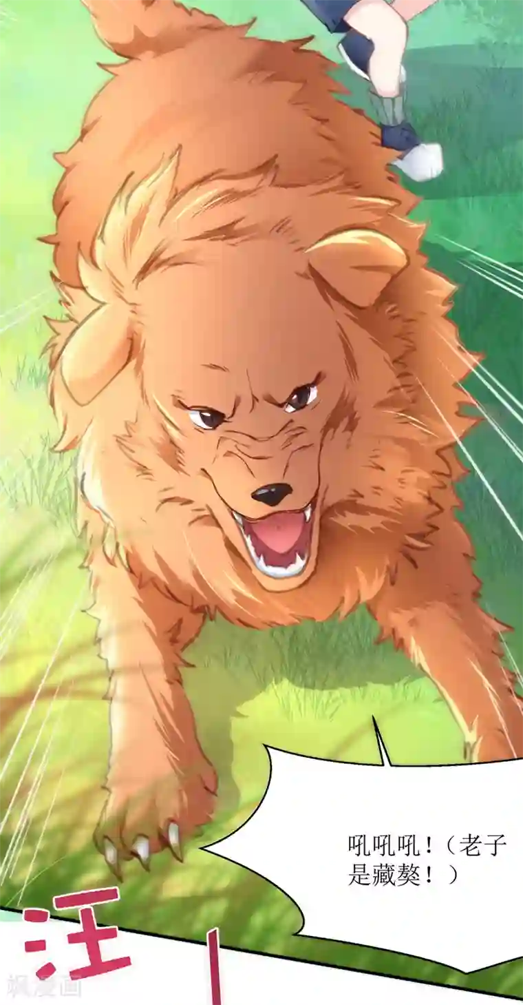 我爹地人设崩了第2话 大白的生日