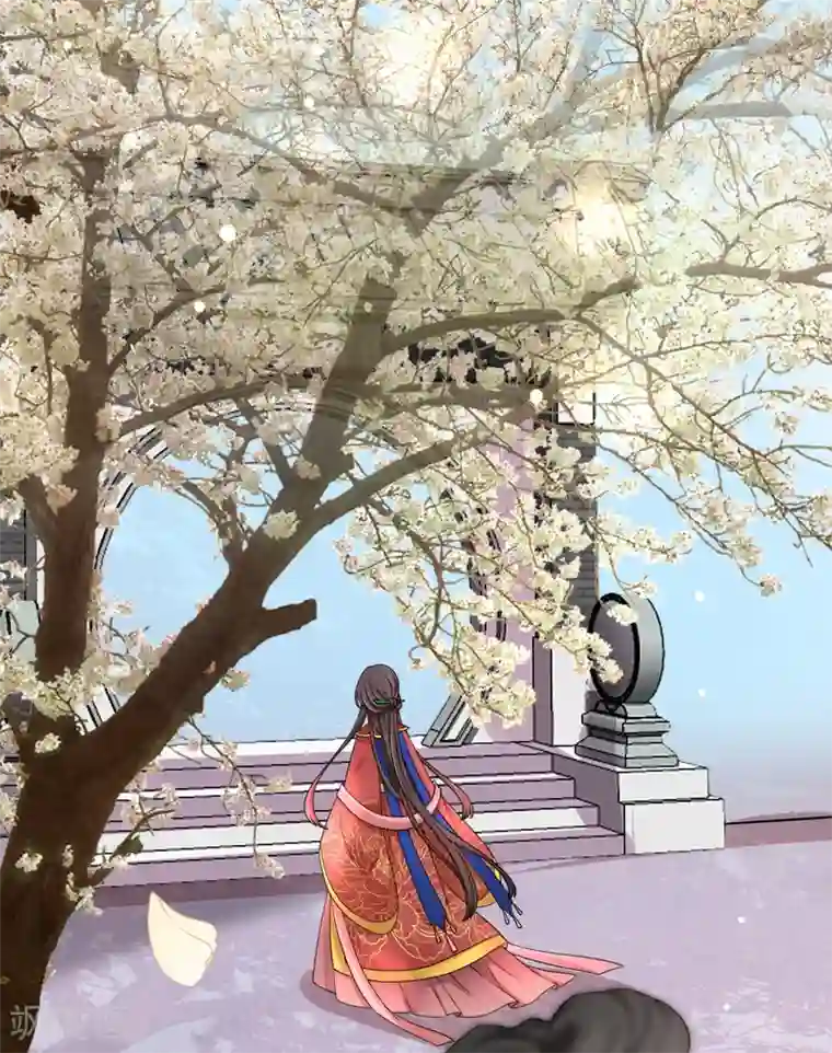 权妃之帝医风华第1话2 初见