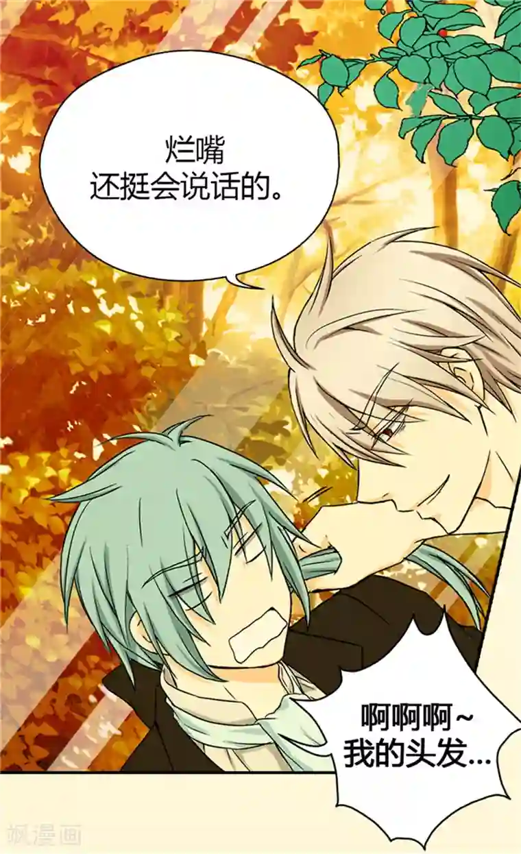 皇帝的独生女第40话 请饶我一命