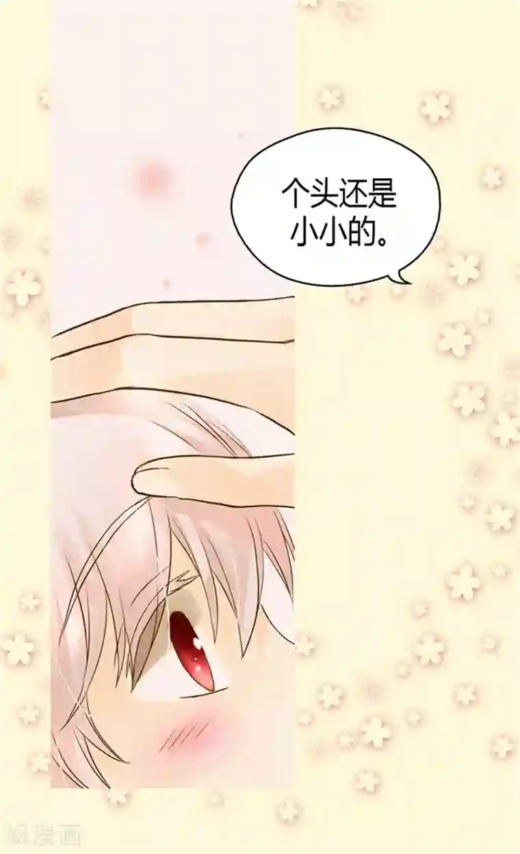 皇帝的独生女第95话 再次遇到阿西西