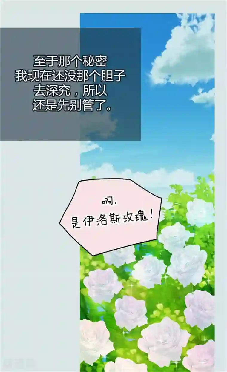 皇帝的独生女第100话 跟阿西西的正式会面