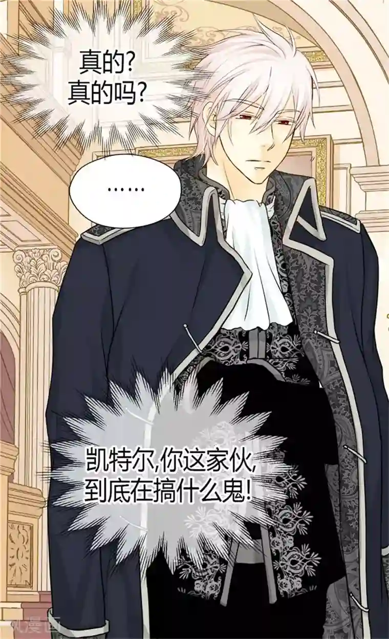 皇帝的独生女第115话 做公主的专属骑士