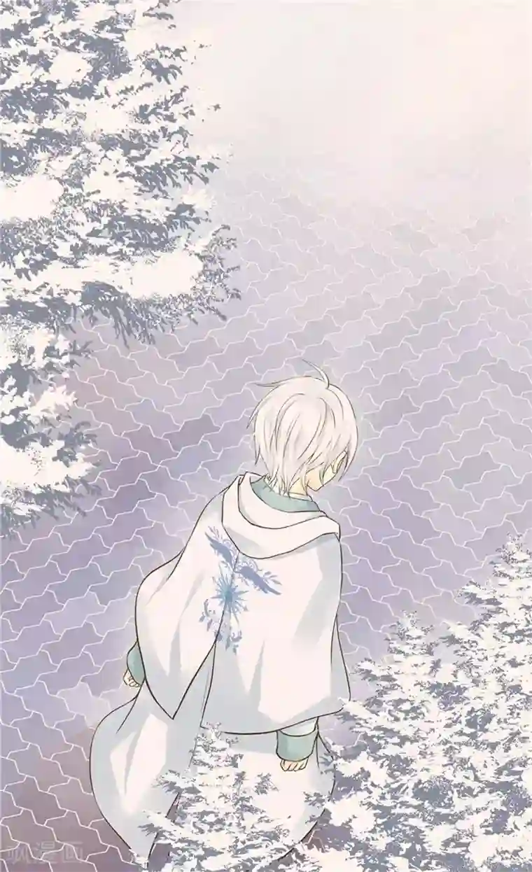 皇帝的独生女第190话 神秘的银发男孩