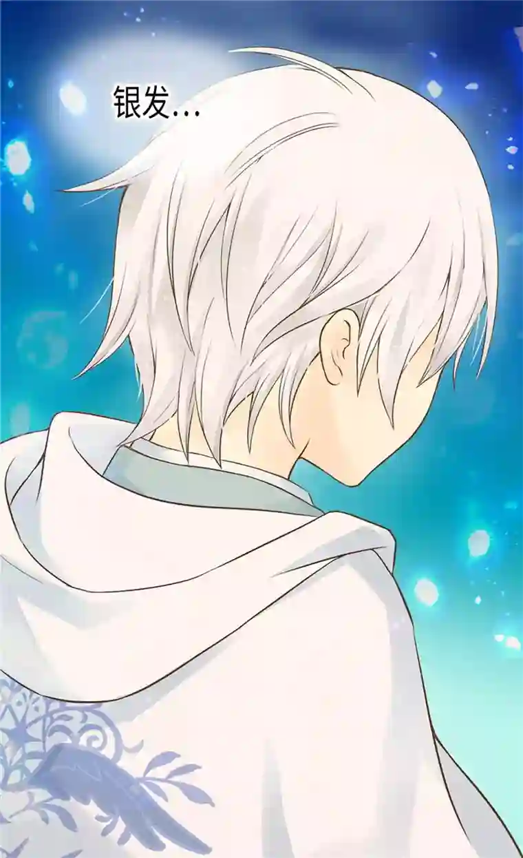 皇帝的独生女第190话 神秘的银发男孩