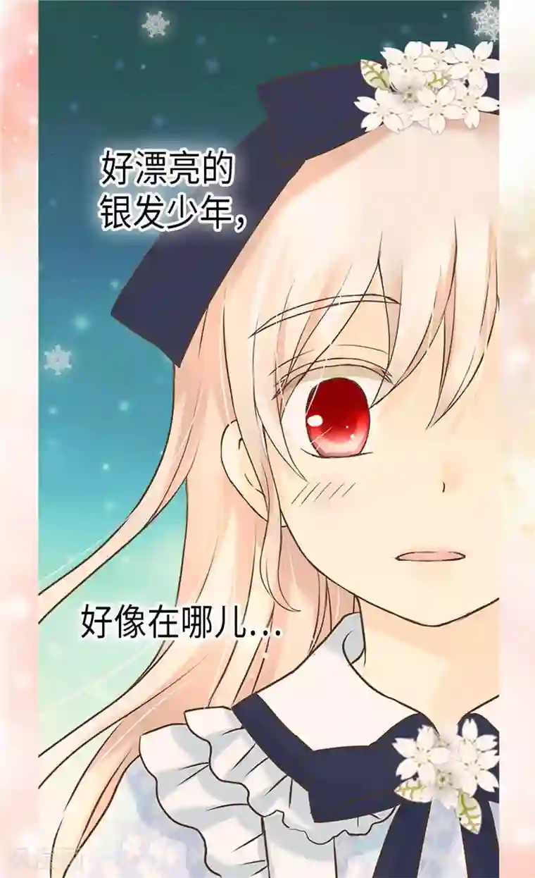 皇帝的独生女第236话 双胞胎的哥哥