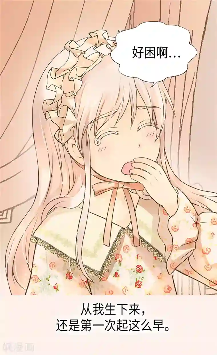 皇帝的独生女第245话 为生日亲自下厨