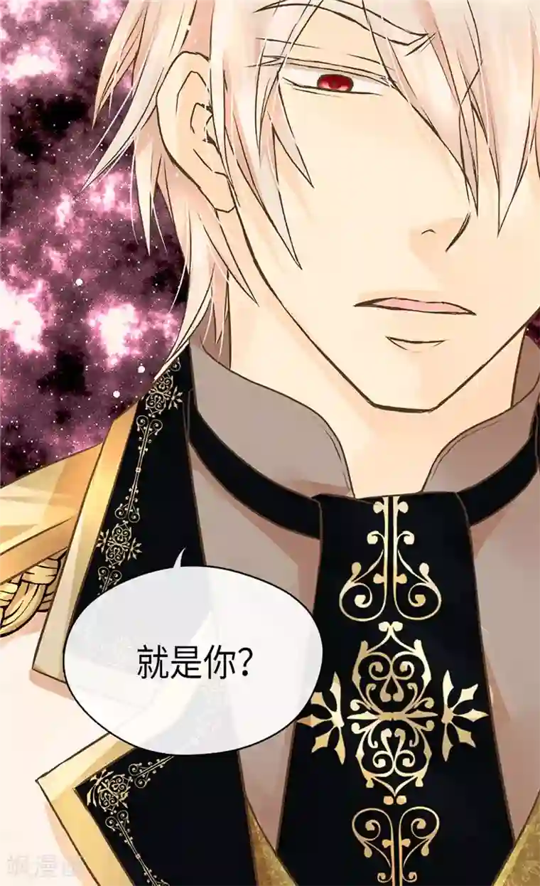 皇帝的独生女第274话 “平民”对抗骑士团