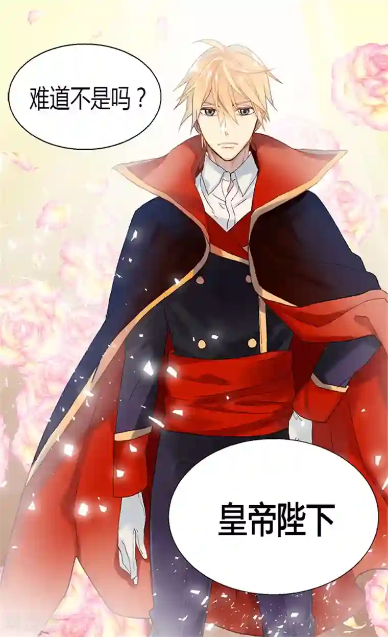 异世界皇妃第7话 新的皇帝