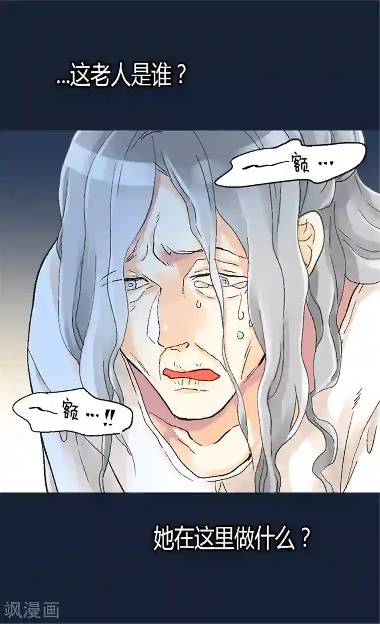 异世界皇妃第25话 神秘的妇人