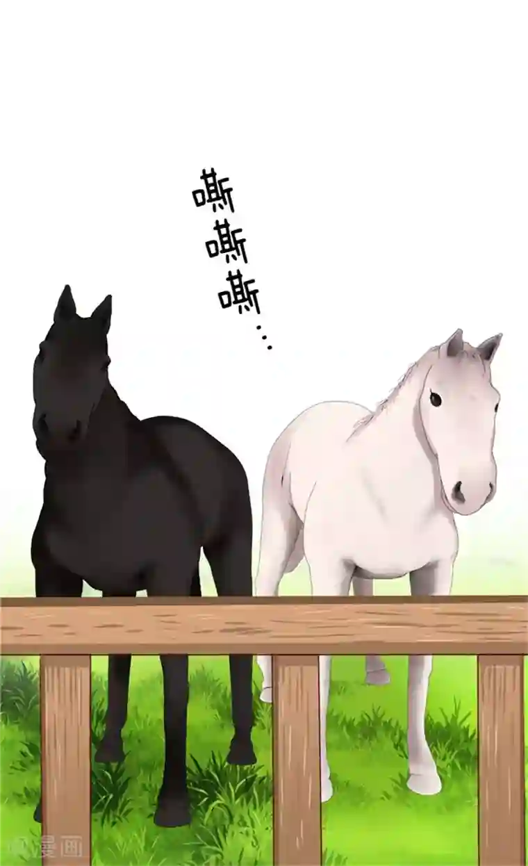 异世界皇妃第35话 挑选坐骑