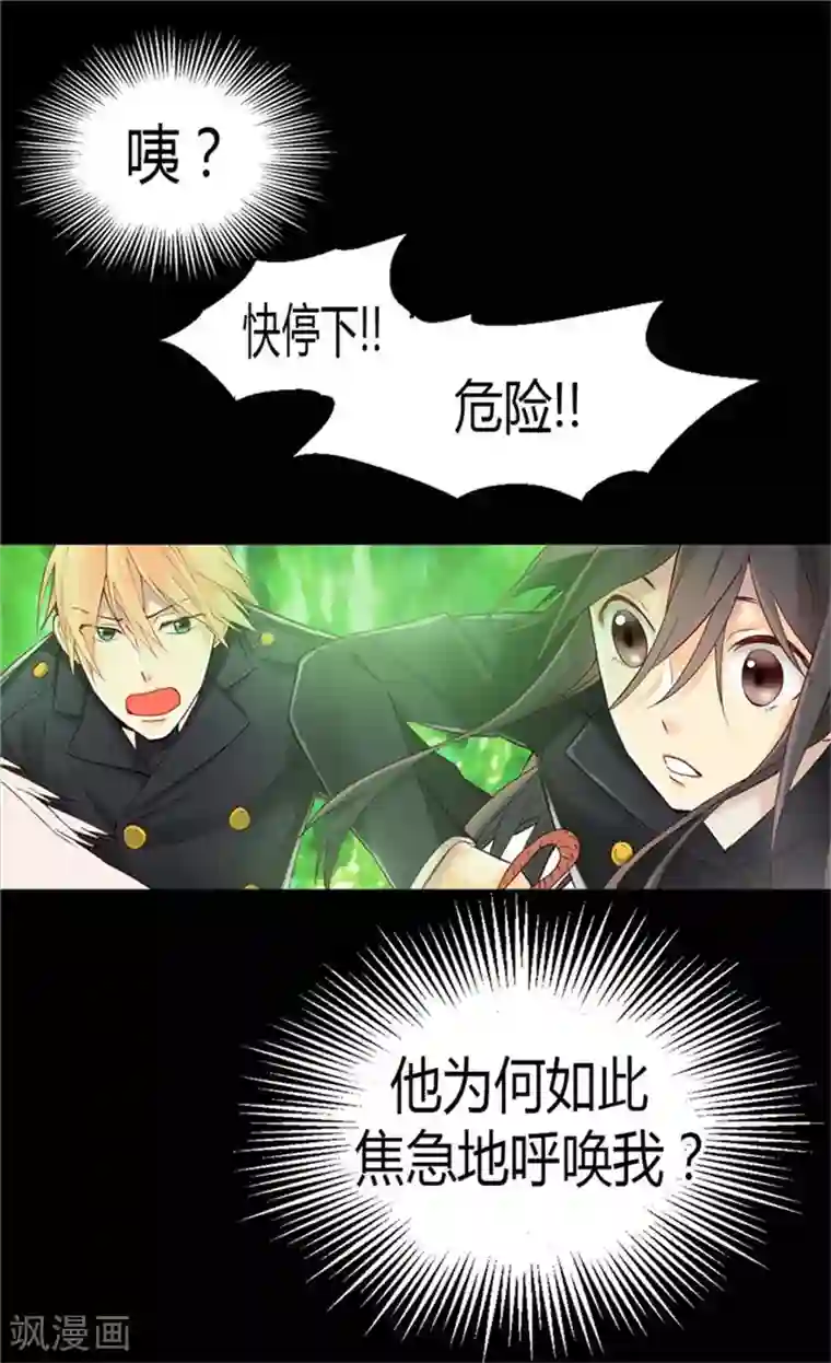 异世界皇妃第35话 挑选坐骑