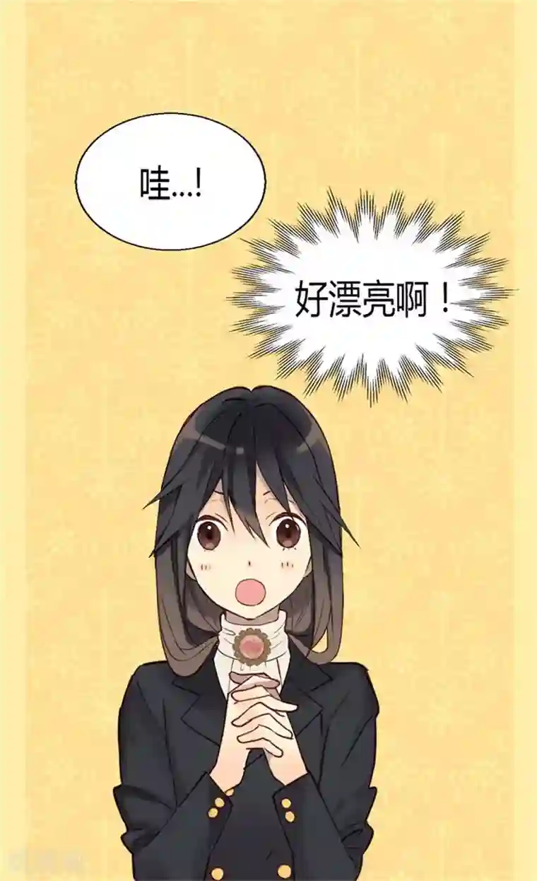 异世界皇妃第35话 挑选坐骑